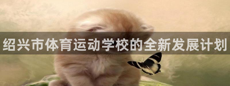 betway西汉姆官网：绍兴市体育运动学校的全新发展计划