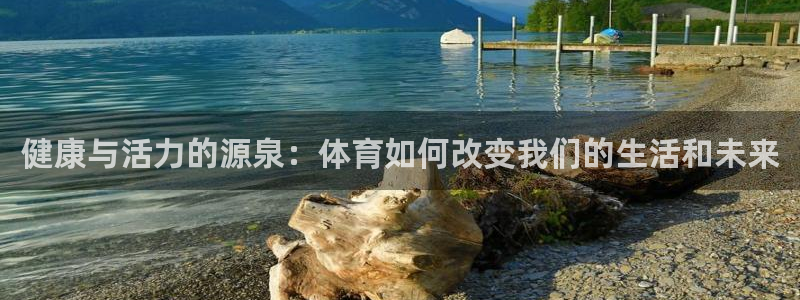 必威betway西汉姆联