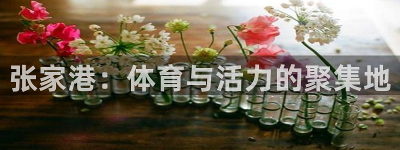 betway西汉姆官网：张家港：体育与活力的聚集地