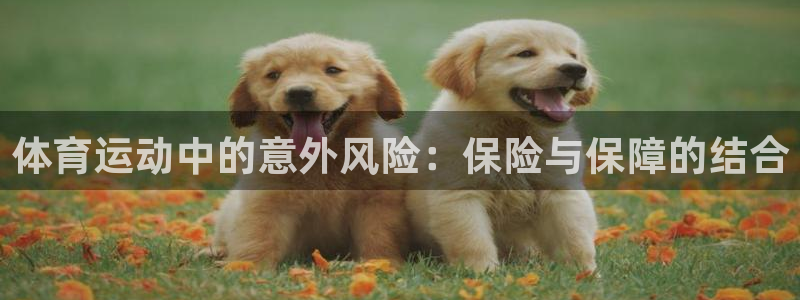 必威betway西汉姆联