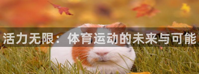 betway西汉姆